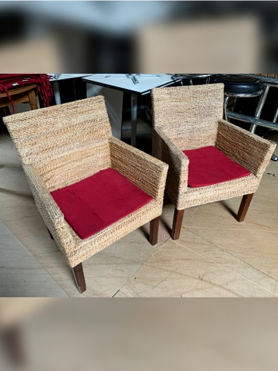 lot-fauteuils-VIP-bananier